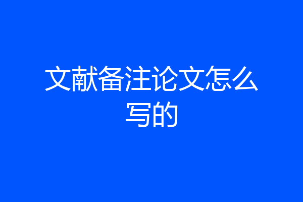 文献备注论文怎么写的