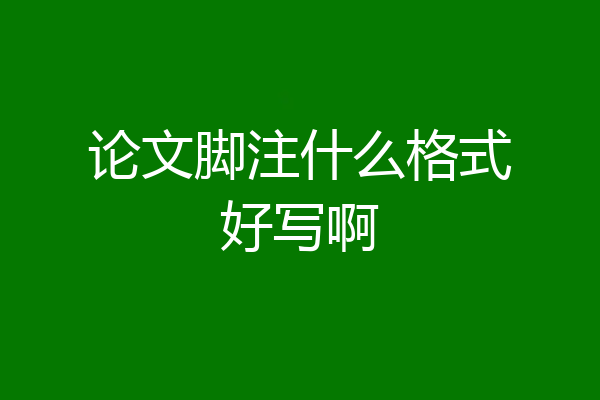 论文脚注什么格式好写啊