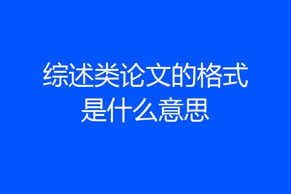 综述类论文的格式是什么意思