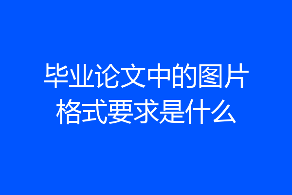 毕业论文中的图片格式要求是什么