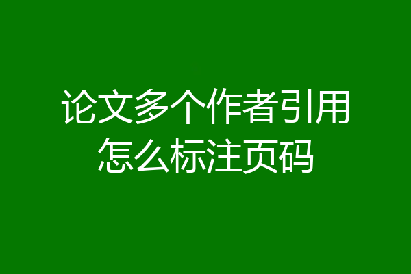 论文多个作者引用怎么标注页码