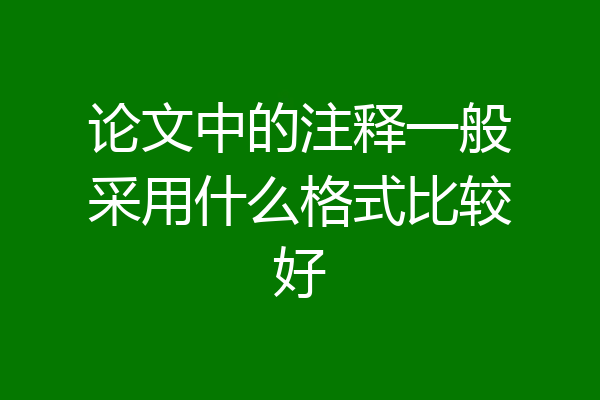 论文中的注释一般采用什么格式比较好