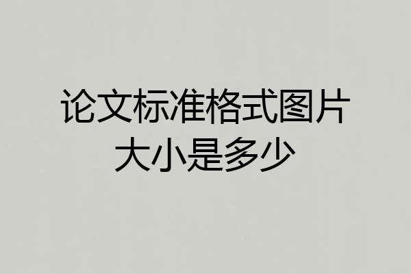 论文标准格式图片大小是多少