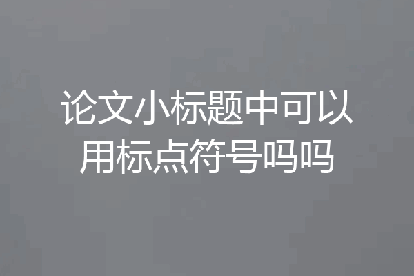 论文小标题中可以用标点符号吗吗