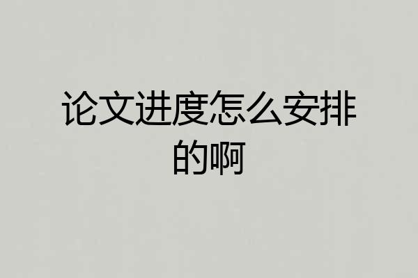 论文进度怎么安排的啊