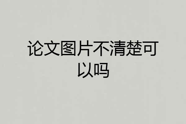 论文图片不清楚可以吗