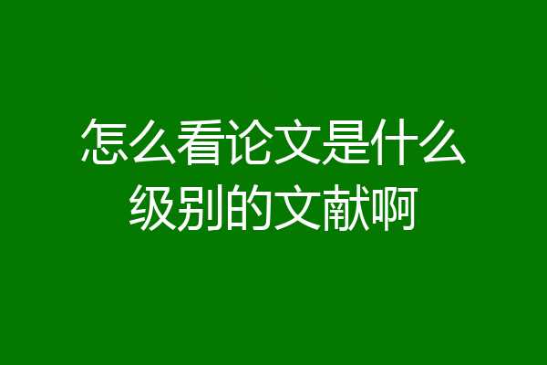 怎么看论文是什么级别的文献啊