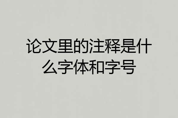 论文里的注释是什么字体和字号
