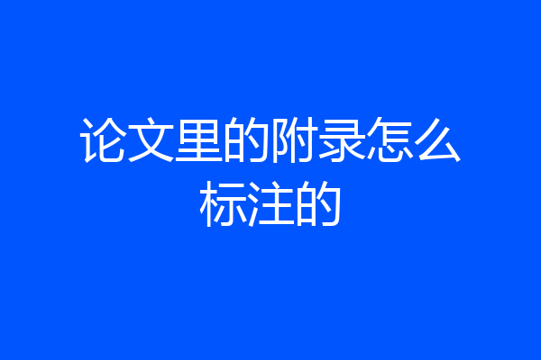 论文里的附录怎么标注的