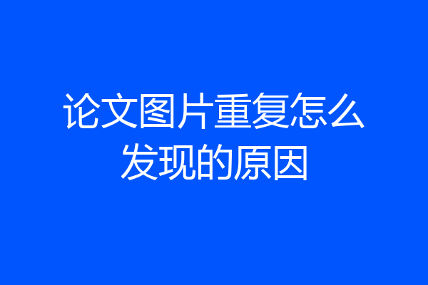 论文图片重复怎么发现的原因