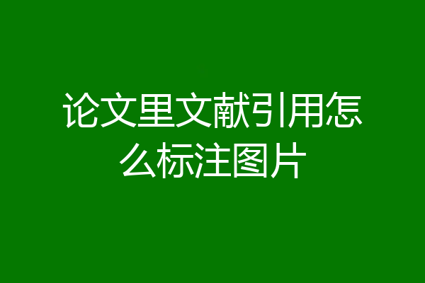论文里文献引用怎么标注图片
