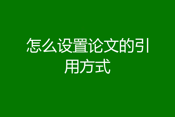 怎么设置论文的引用方式