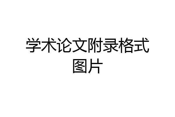 学术论文附录格式图片