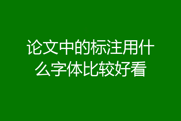 论文中的标注用什么字体比较好看