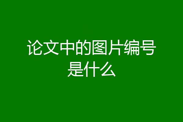 论文中的图片编号是什么