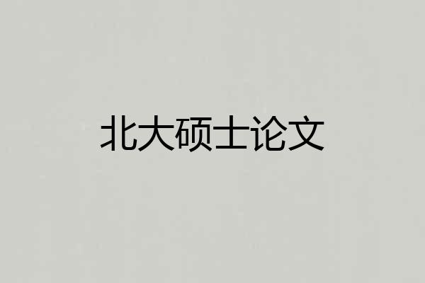 北大硕士论文