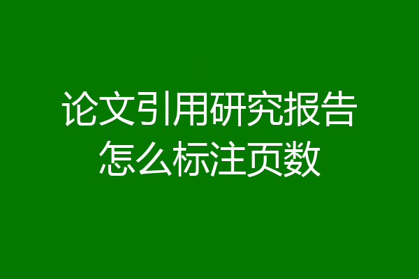 论文引用研究报告怎么标注页数