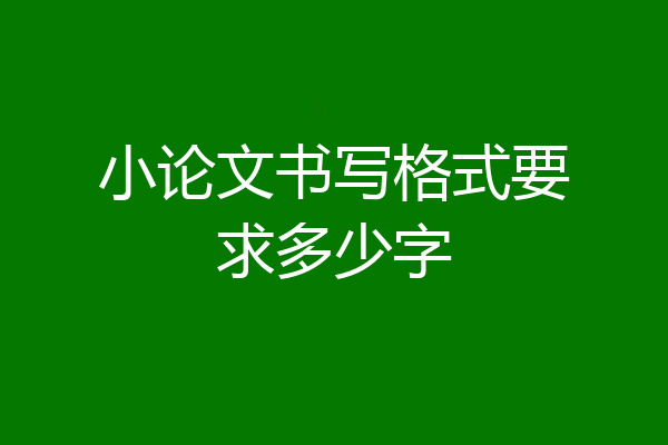 小论文书写格式要求多少字