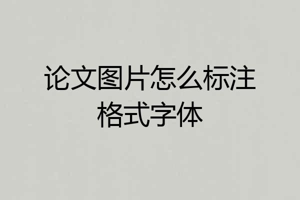 论文图片怎么标注格式字体
