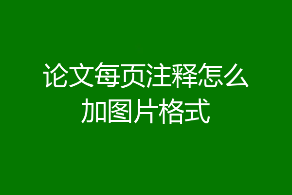 论文每页注释怎么加图片格式