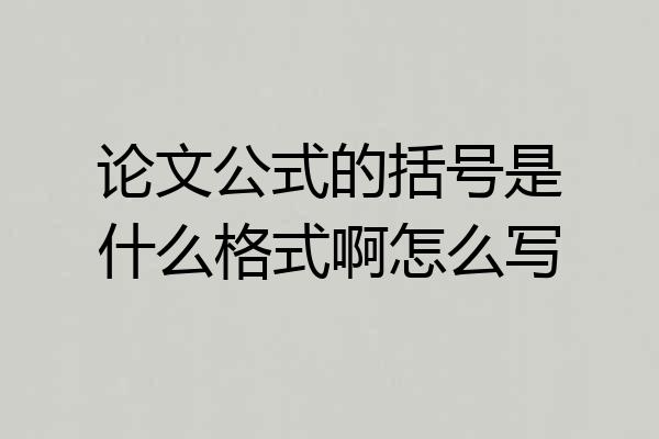 论文公式的括号是什么格式啊怎么写