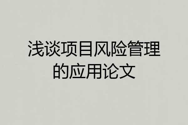 浅谈项目风险管理的应用论文