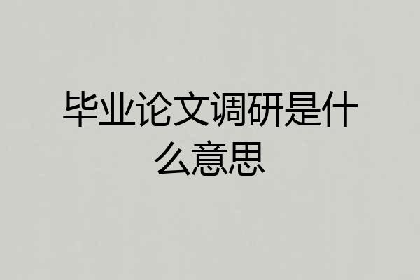 毕业论文调研是什么意思