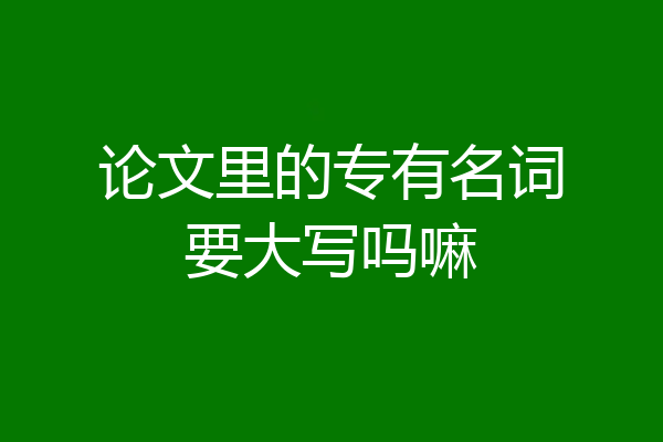 论文里的专有名词要大写吗嘛