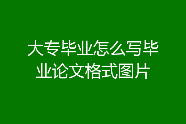 大专毕业怎么写毕业论文格式图片