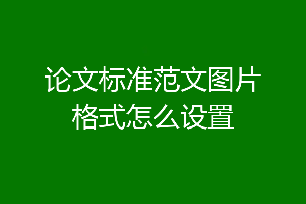 论文标准范文图片格式怎么设置