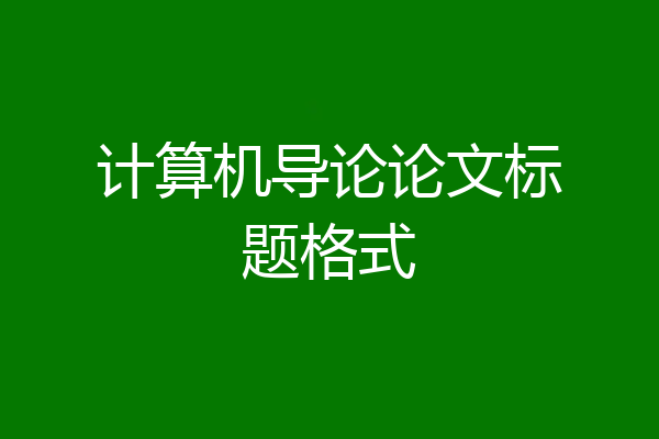 计算机导论论文标题格式