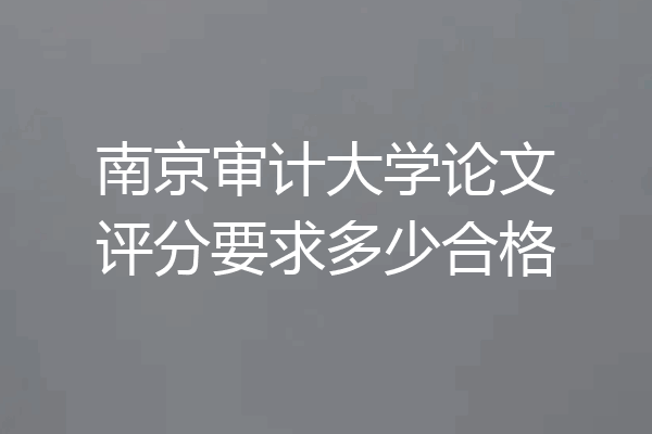 南京审计大学论文评分要求多少合格