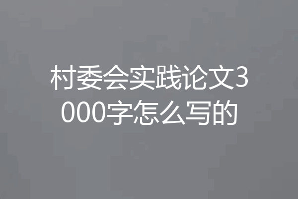 村委会实践论文3000字怎么写的