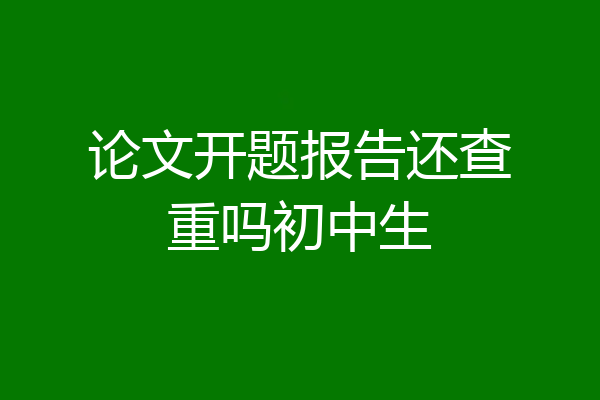 论文开题报告还查重吗初中生