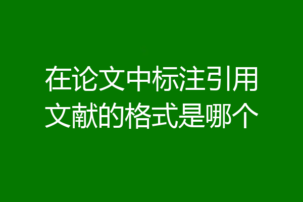 在论文中标注引用文献的格式是哪个