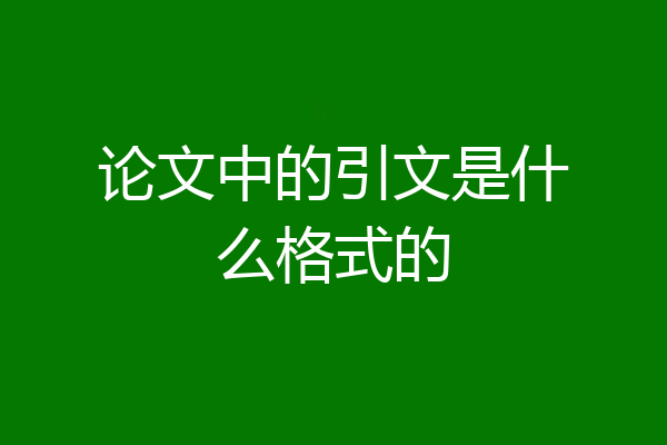 论文中的引文是什么格式的