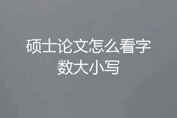 硕士论文怎么看字数大小写