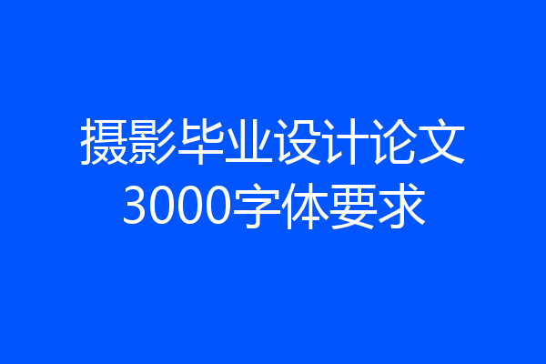 摄影毕业设计论文3000字体要求