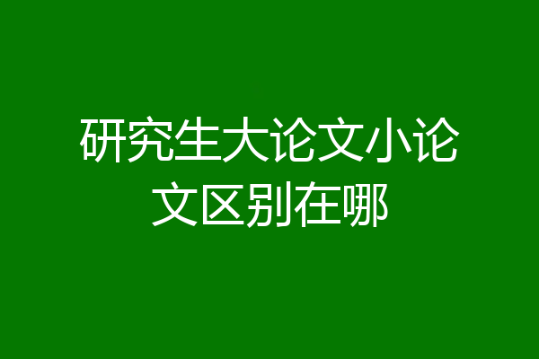 研究生大论文小论文区别在哪