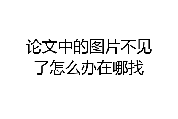 论文中的图片不见了怎么办在哪找