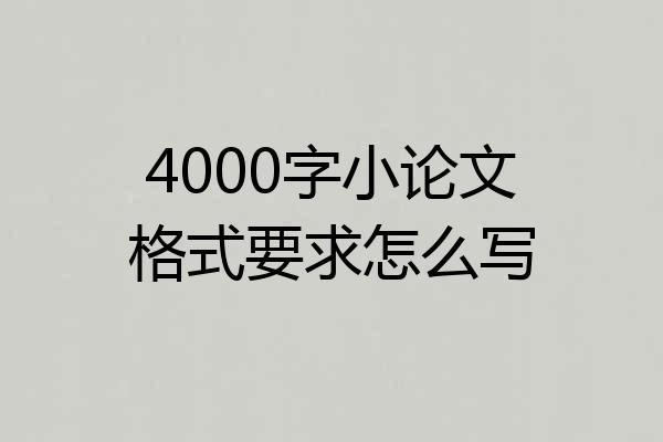 4000字小论文格式要求怎么写