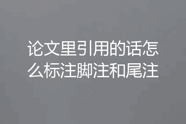 论文里引用的话怎么标注脚注和尾注