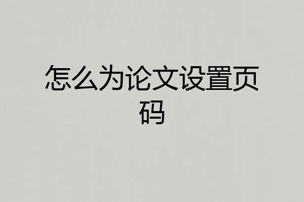 怎么为论文设置页码