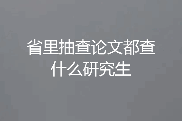 省里抽查论文都查什么研究生