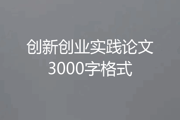 创新创业实践论文3000字格式