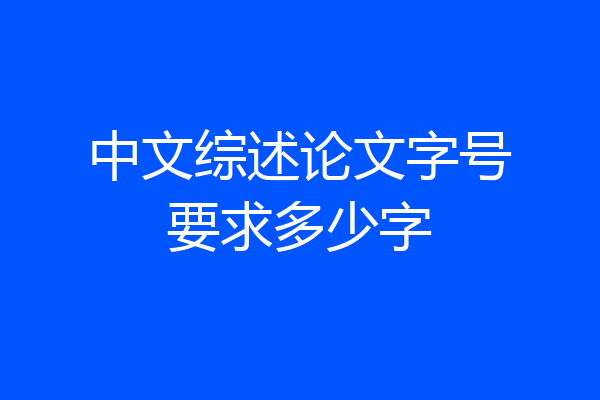 中文综述论文字号要求多少字