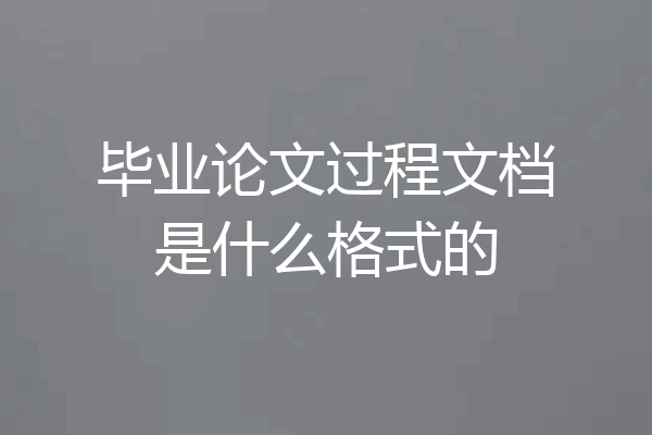 毕业论文过程文档是什么格式的