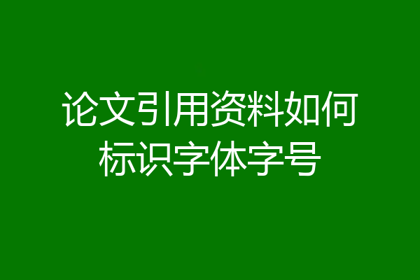 论文引用资料如何标识字体字号