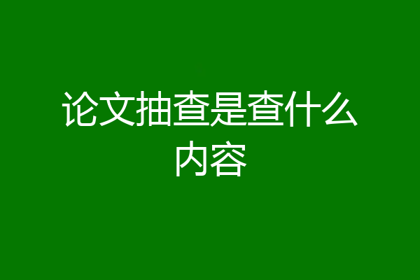 论文抽查是查什么内容