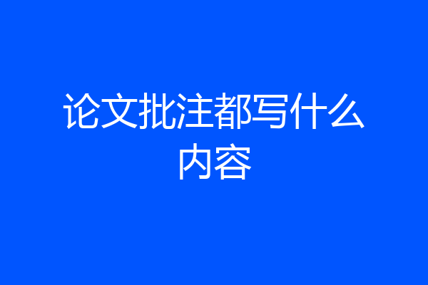 论文批注都写什么内容